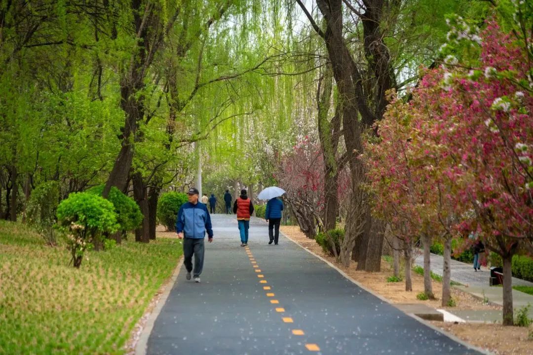 公园绿道最新规划,朝阳北部示范绿道