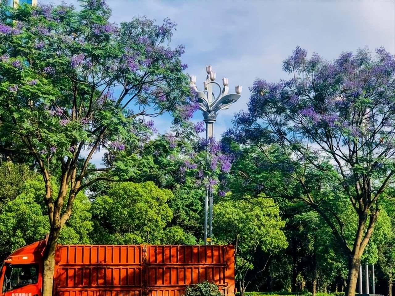 昆明蓝花楹最佳观赏期,颜值爆表昆明十大蓝花楹打卡指南