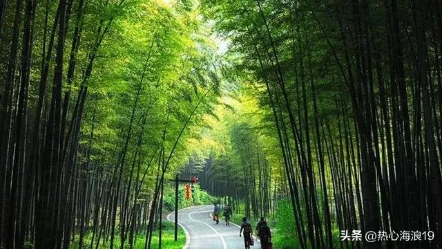 来自中国大竹海的静思