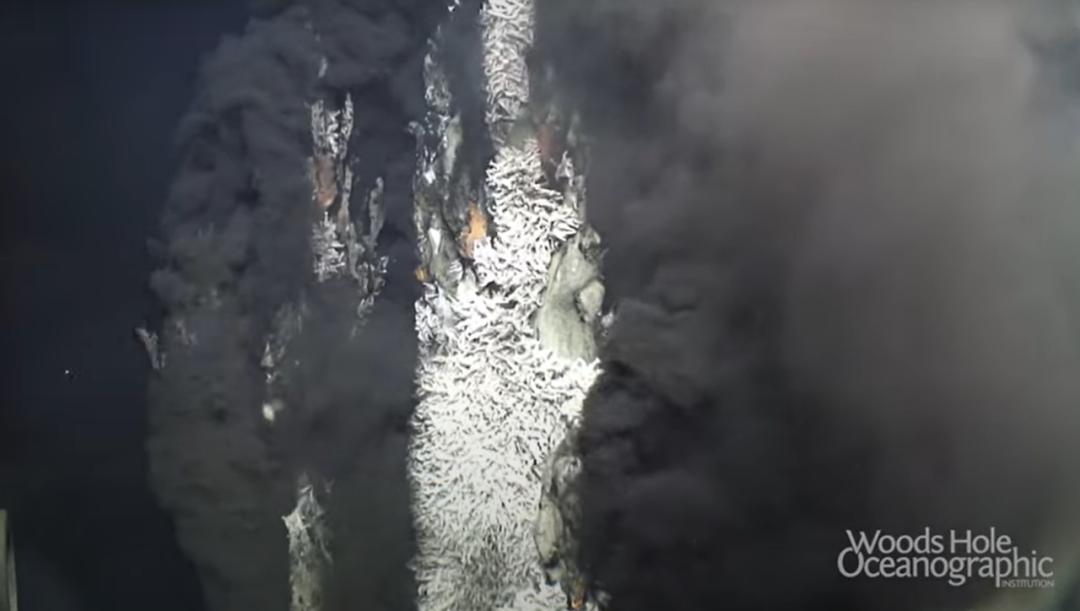 海底火山口的虾不能煮熟吗,450度虾能煮熟吗