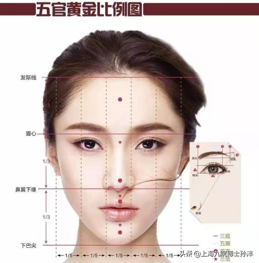 下巴对气质的影响,最好的下巴是双下巴吗