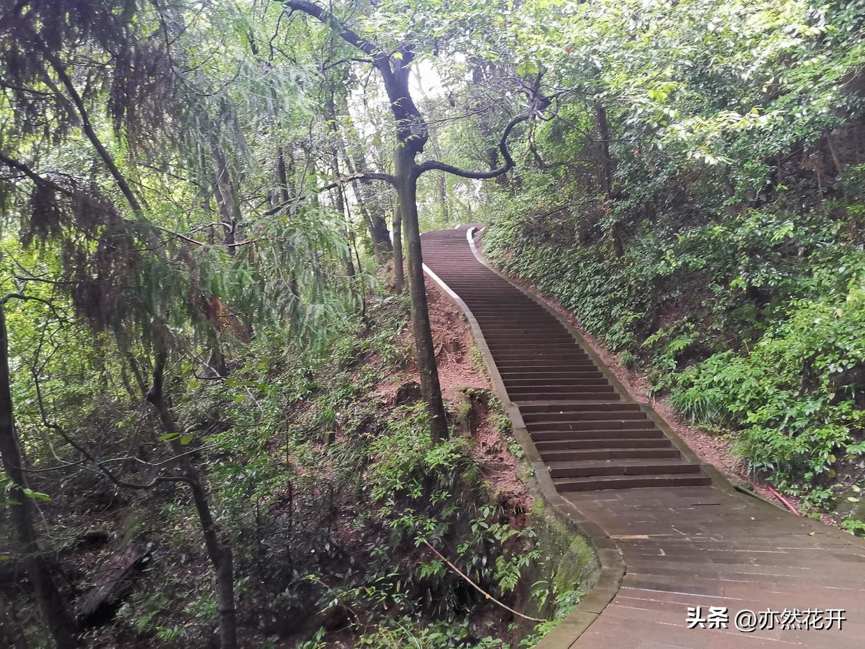 简报写作上有什么要求和方法,简报写作要点技巧