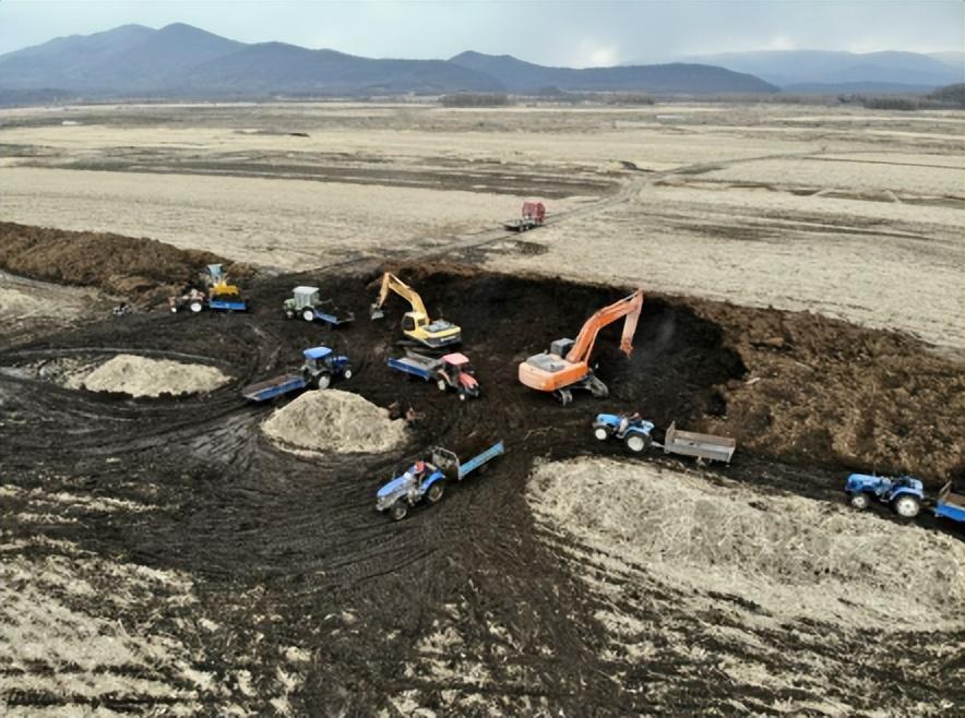 谁在砸中国人饭碗？200万年形成的“土中熊猫”，被4元贱卖给美日