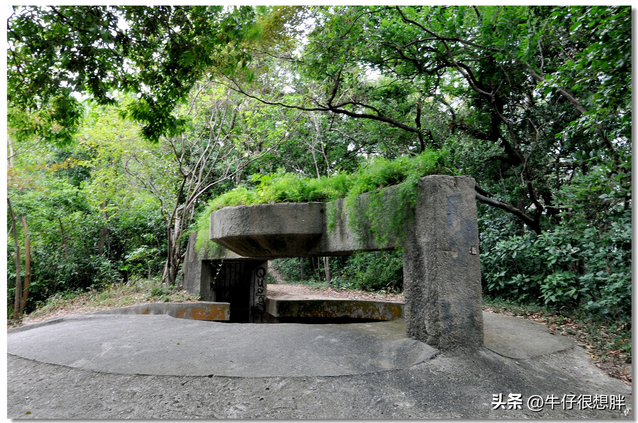 澳门遛娃5天自由行攻略,亲子游香港和澳门哪个更推荐