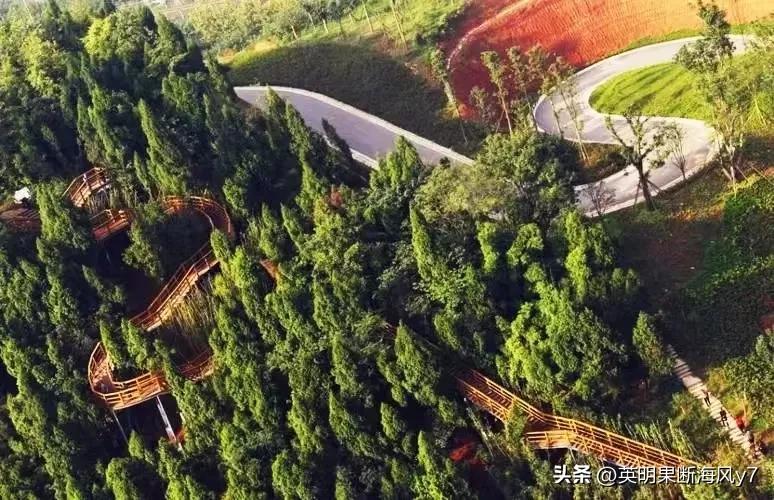 遂宁香江国际房子,遂宁香江国际二手房