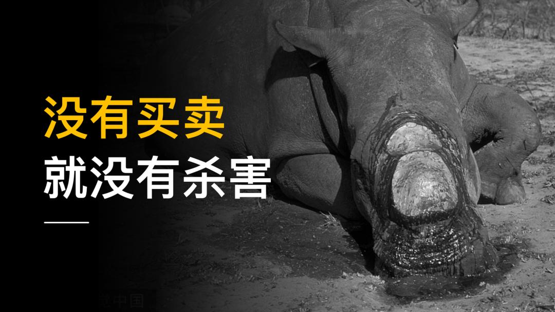 雷军发布会讲爱了吗,雷军发布会演讲完整视频