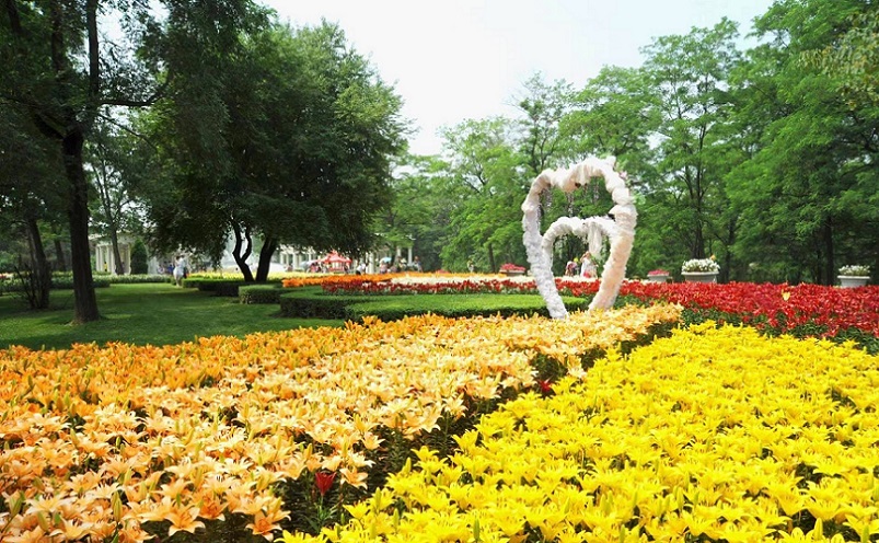 沈阳攻略必去的十大景点推荐,沈阳旅游必去十大景点推荐图片