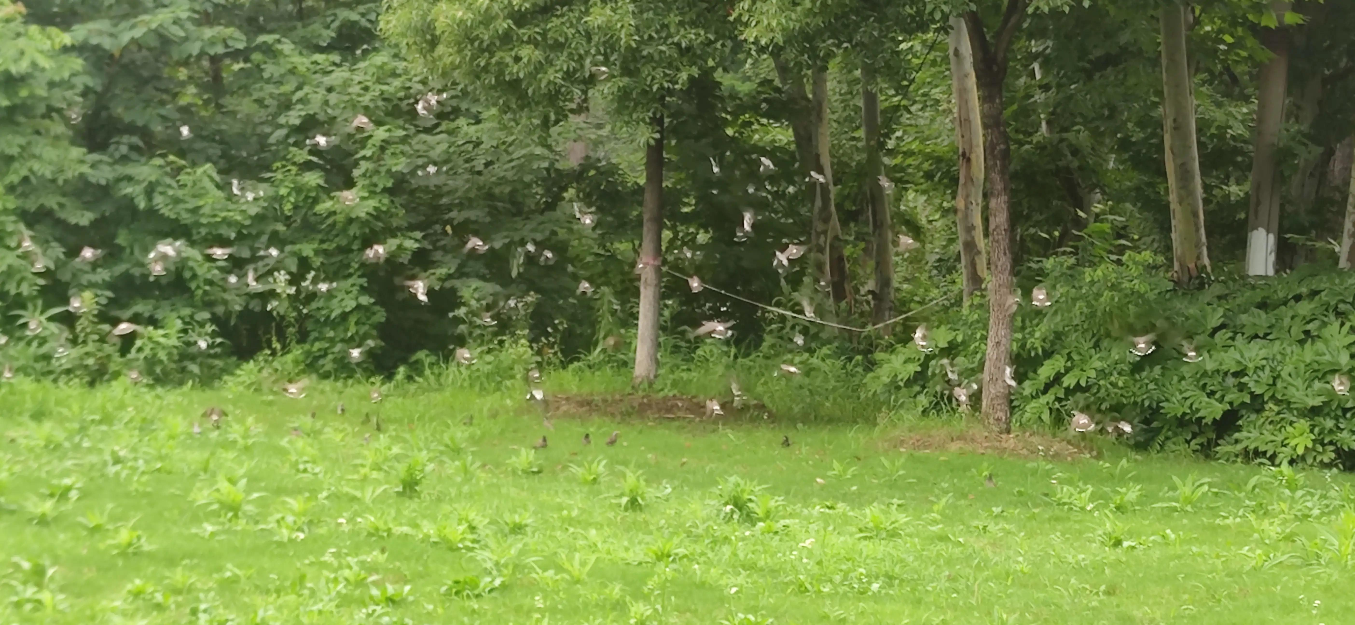 求职女生妙语连珠完整版,求职女生现场