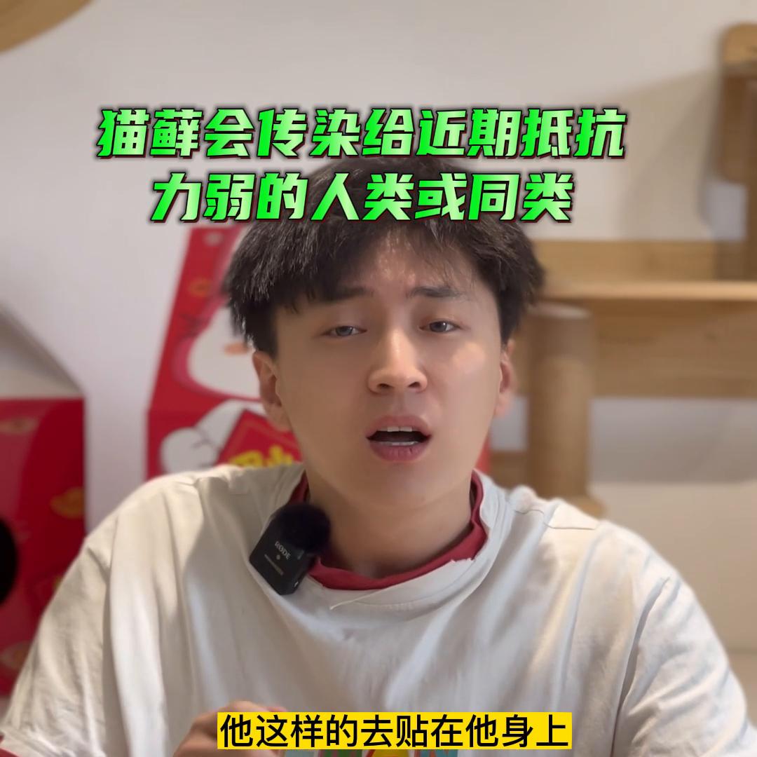 猫藓啊是最基础的猫咪小病,天气变化阴凉潮湿都会导致猫咪...