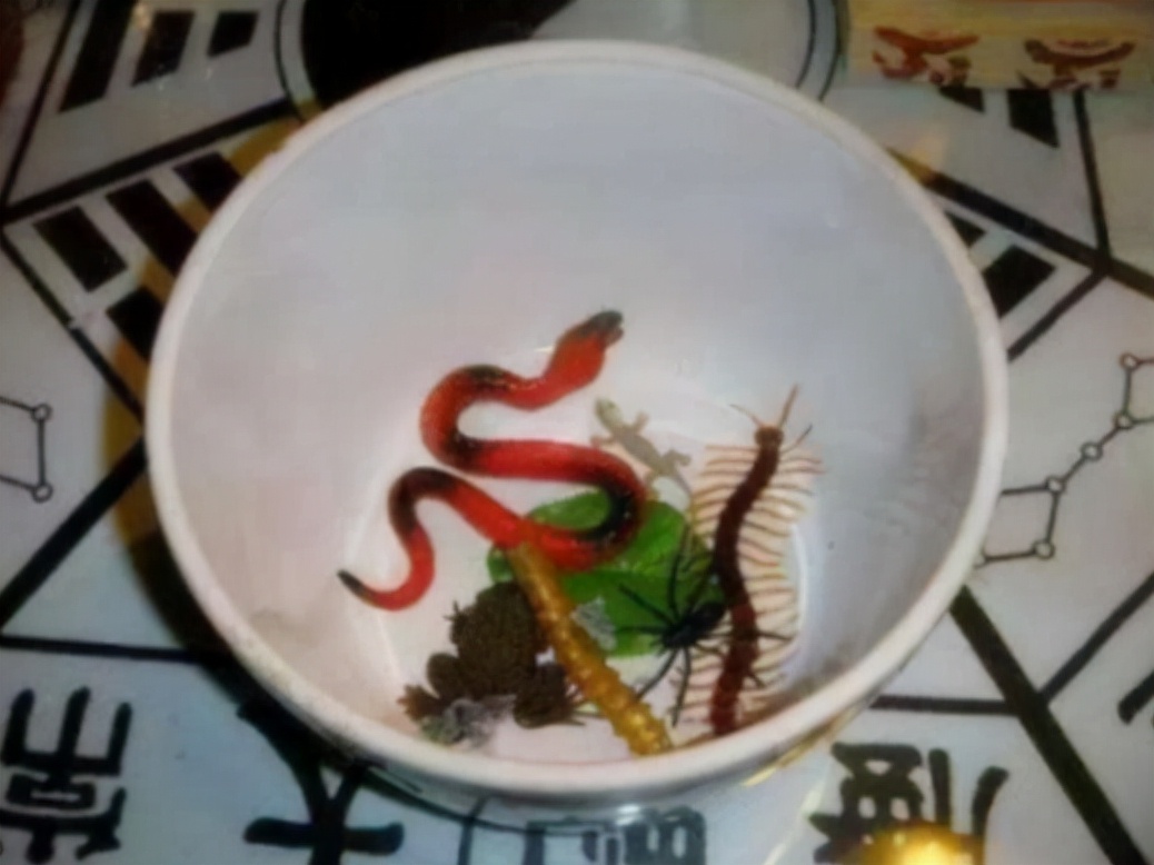 蛊到底是什么东西为什么到处害人,蛊的说法真的吗