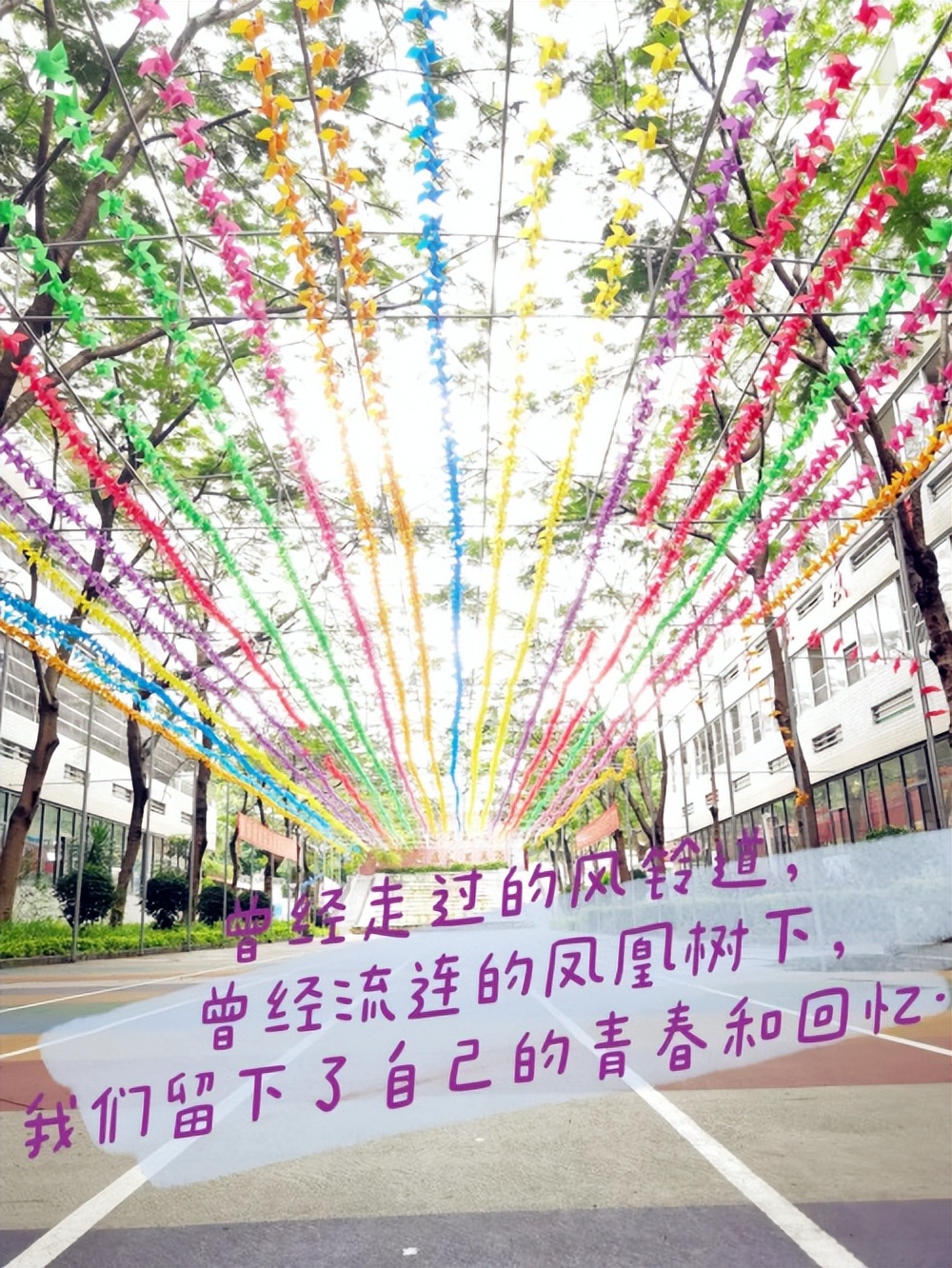 致敬我们的青春正片,致敬我们的青春学生时代