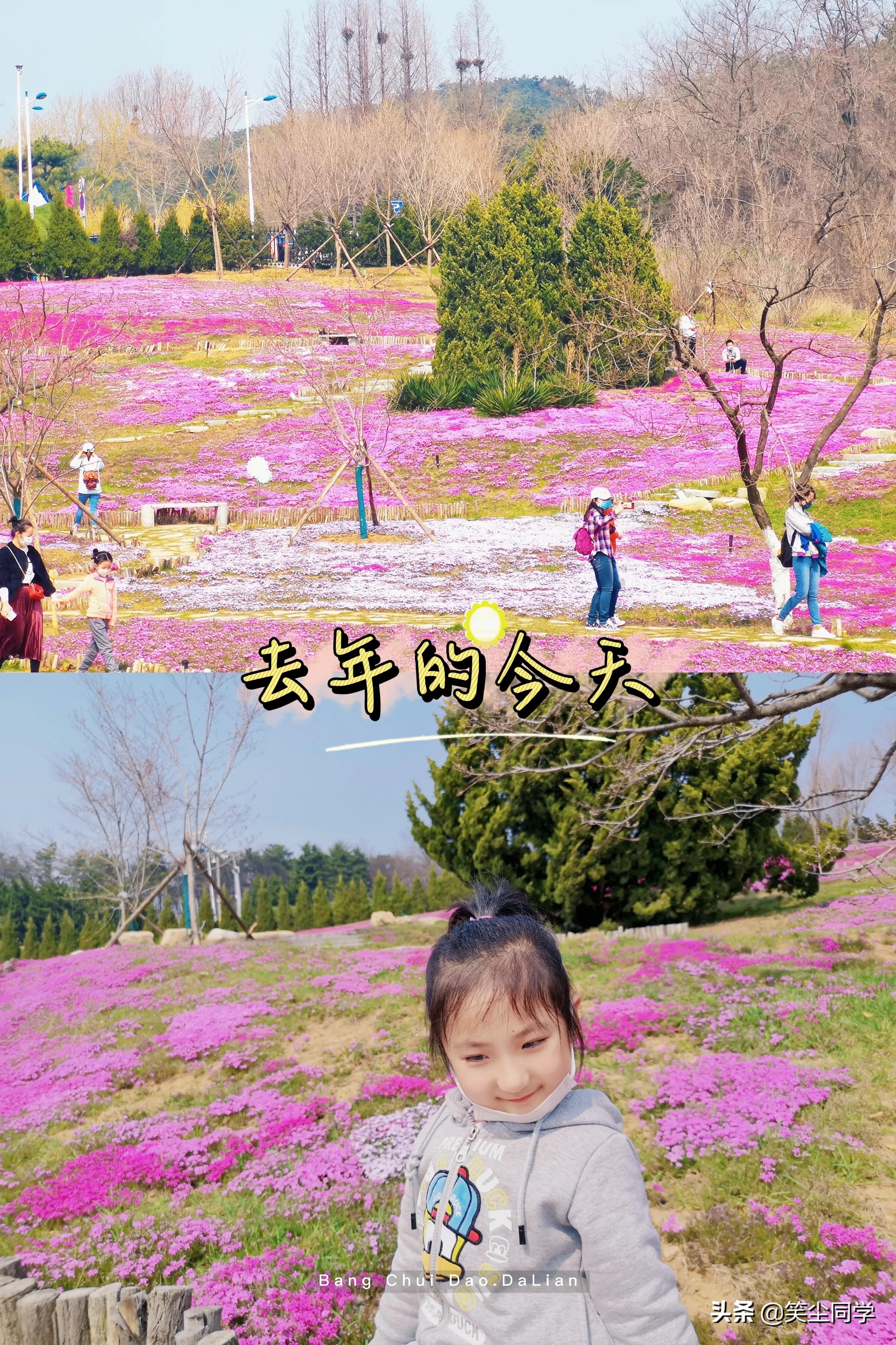 大连棒棰岛打卡攻略,棒棰岛值得去吗