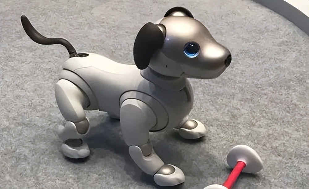 智趣百问|你家有机器人吗?日常生活中使用它有哪些好处?