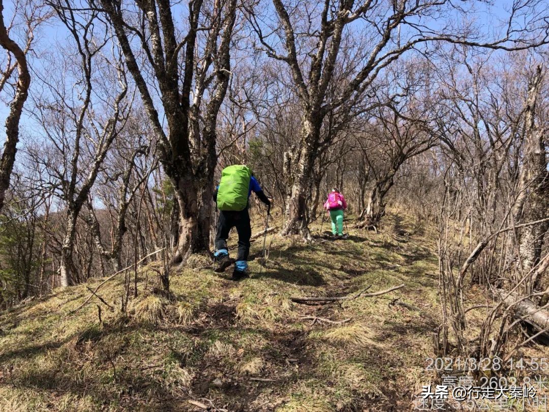 首阳山穿越大坪梁景色怎么样,大坪梁穿越到首阳山攻略