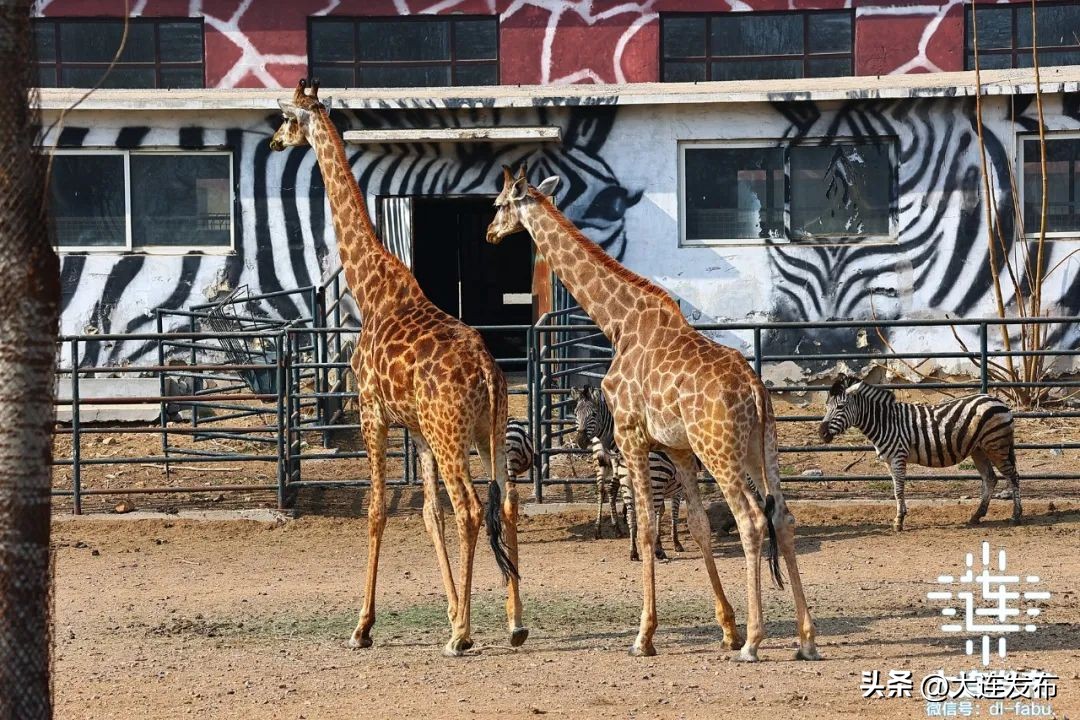 一日游大连旅游景点大全,大连旅行十大景区排名