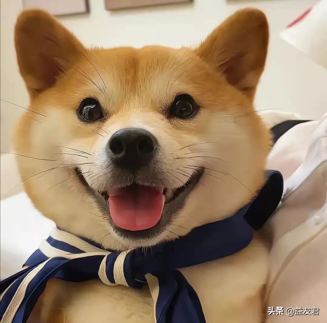 总是感觉很累不想动是什么原因,总是觉得很累没精神啥都不想做