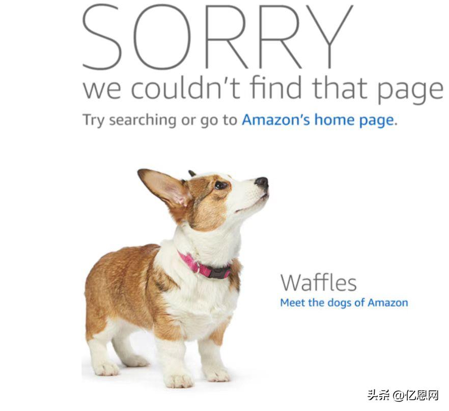 亚马逊被抢类目,亚马逊为什么bsr突然消失了