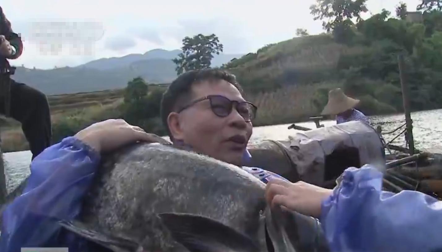 万尾鱼苗离奇失踪,鱼苗死亡鱼苗老板有责任吗