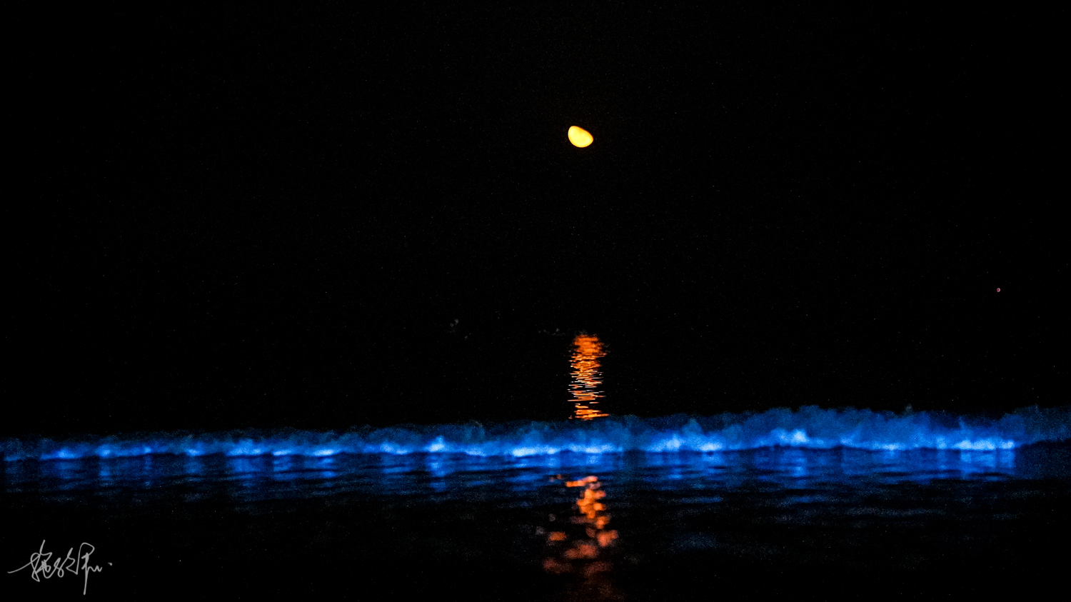 我的2022年度报告,我的2022原版