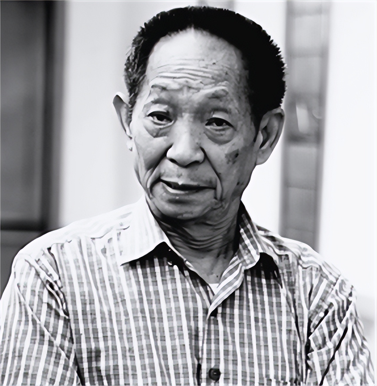 袁隆平让我心生敬意,袁隆平我敬佩的人征文