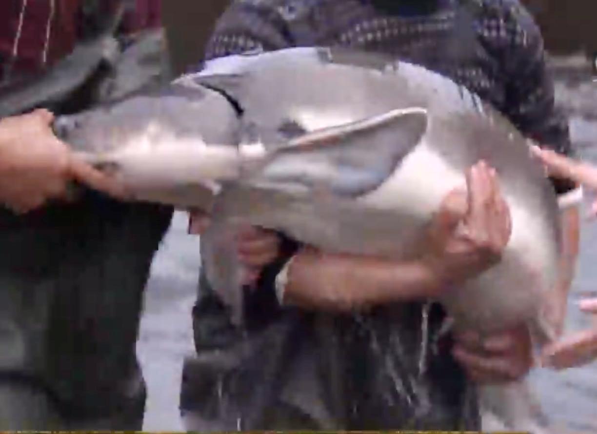 他,放弃北京百万年薪前往贵州,靠一深10公里的神秘洞穴年入千万