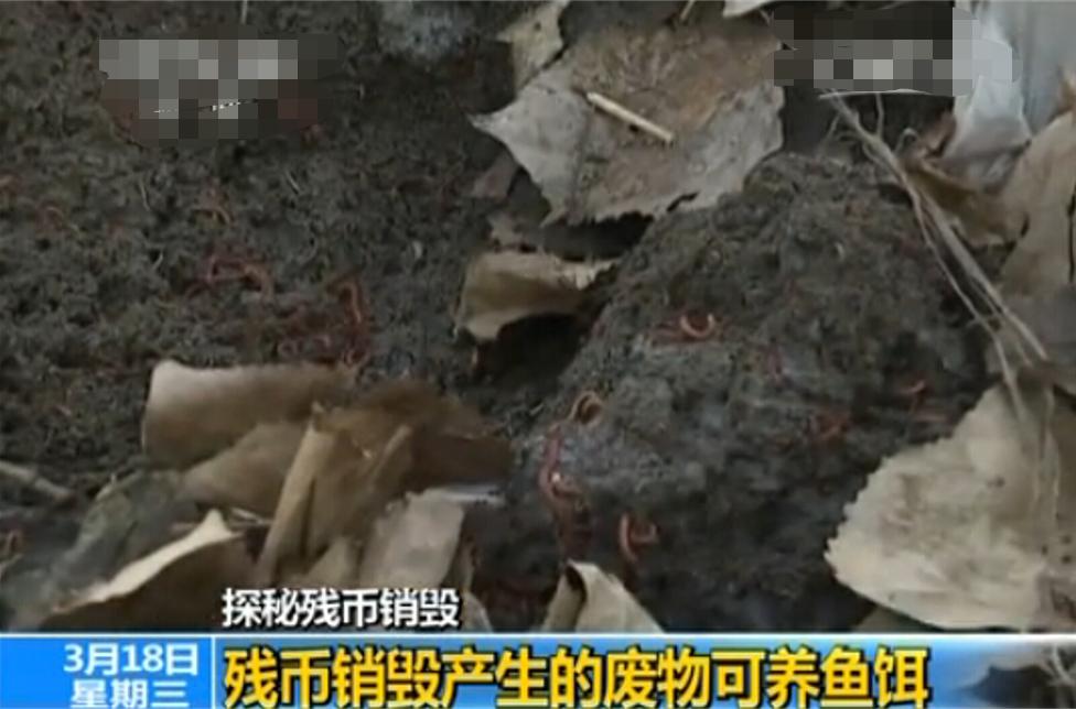 6000元钞票被小孩撕碎,6000元现金被儿子撕成碎片