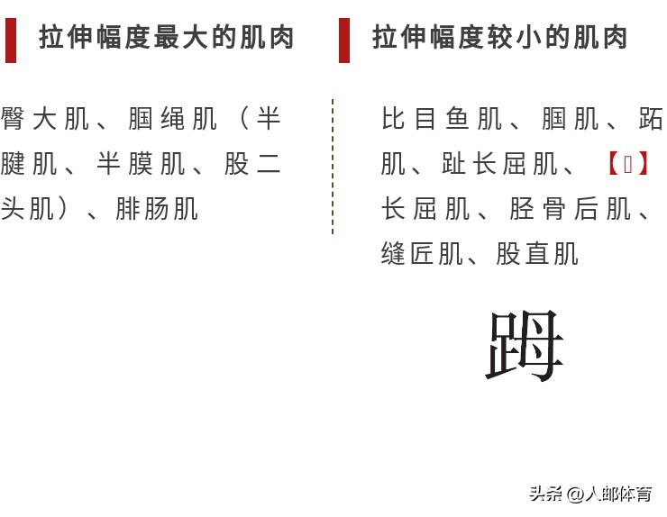 在沙发上锻炼,久坐一族伸展练习方法