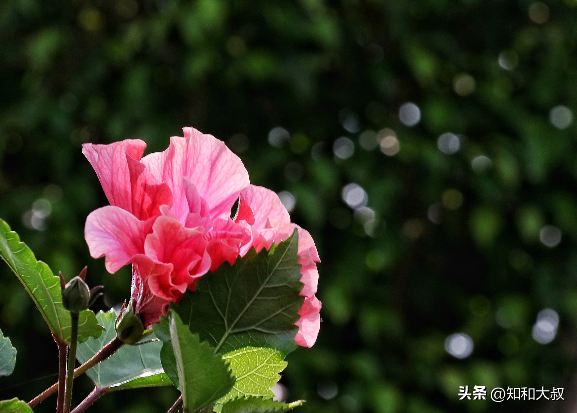 一个幸福女人的六个习惯,一个女人的幸福三大条件