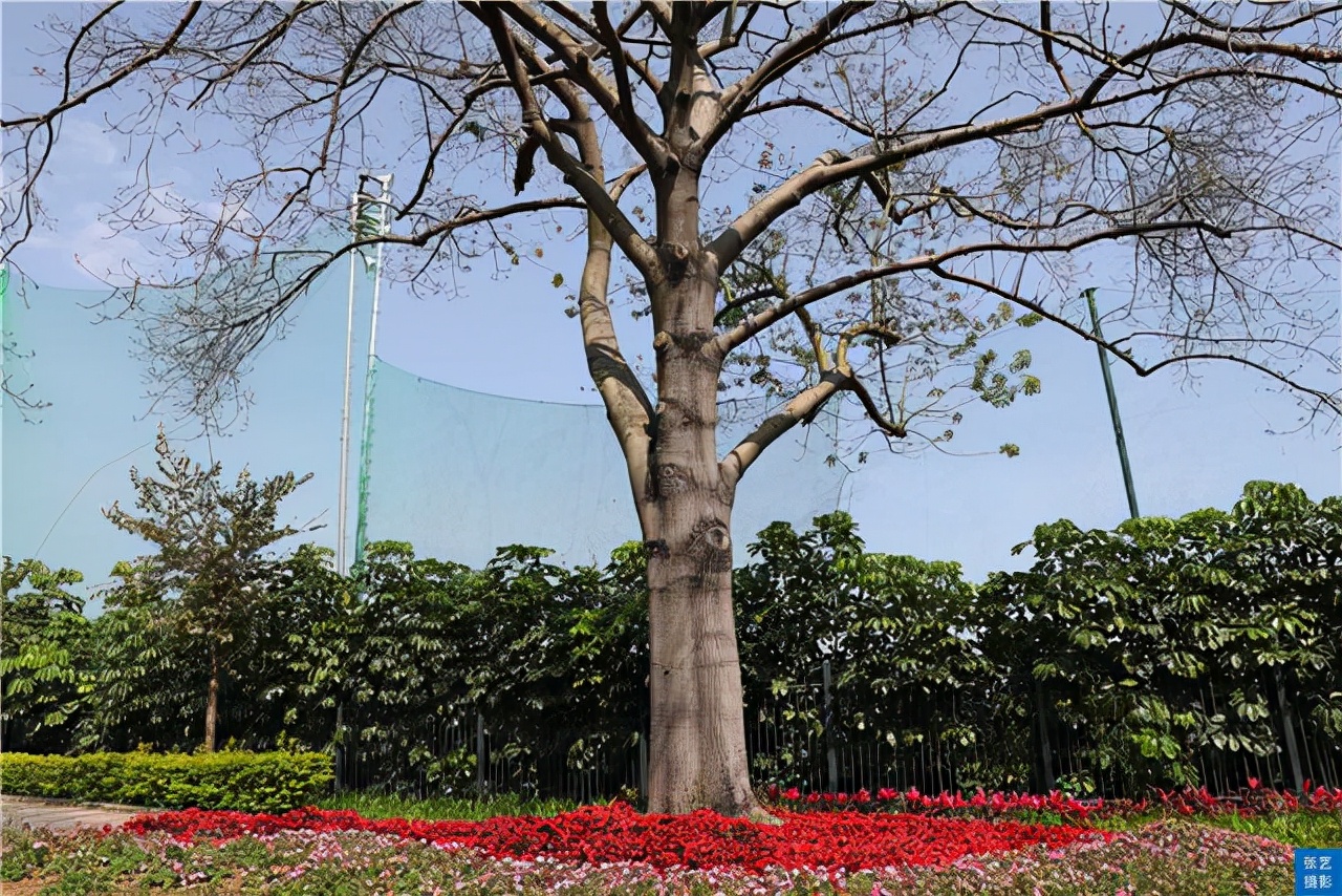 广州风景好又安静的地方推荐,广州最幽静的景点