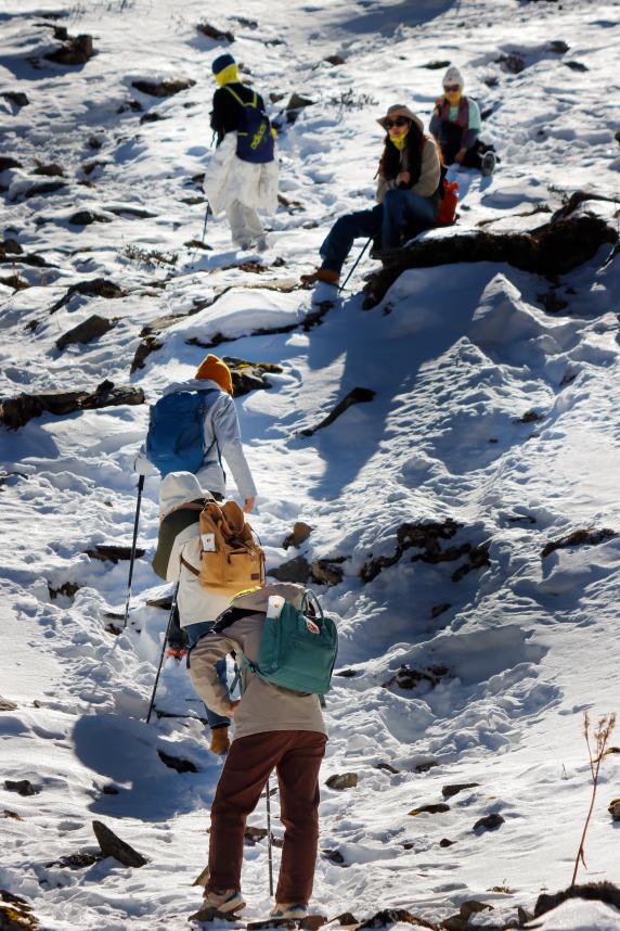不到3000玩7天！“全网呼声最高”的冬日游天花板，非它莫属！