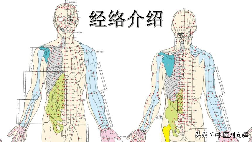 脾肾虚脸会发黄吗,肾虚脾胃虚寒脸黄是什么原因
