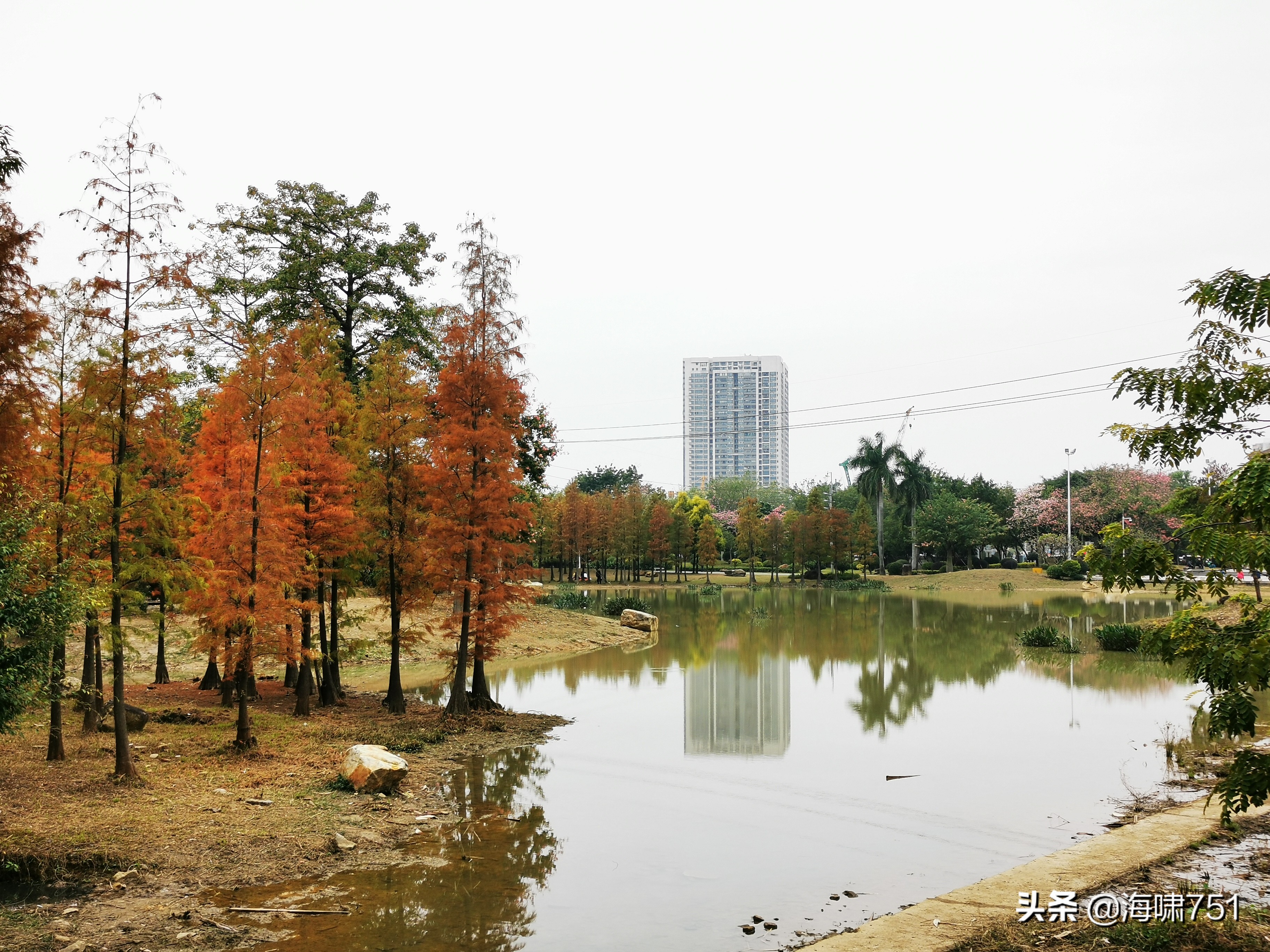 陈田花园全景图,陈田花园照片
