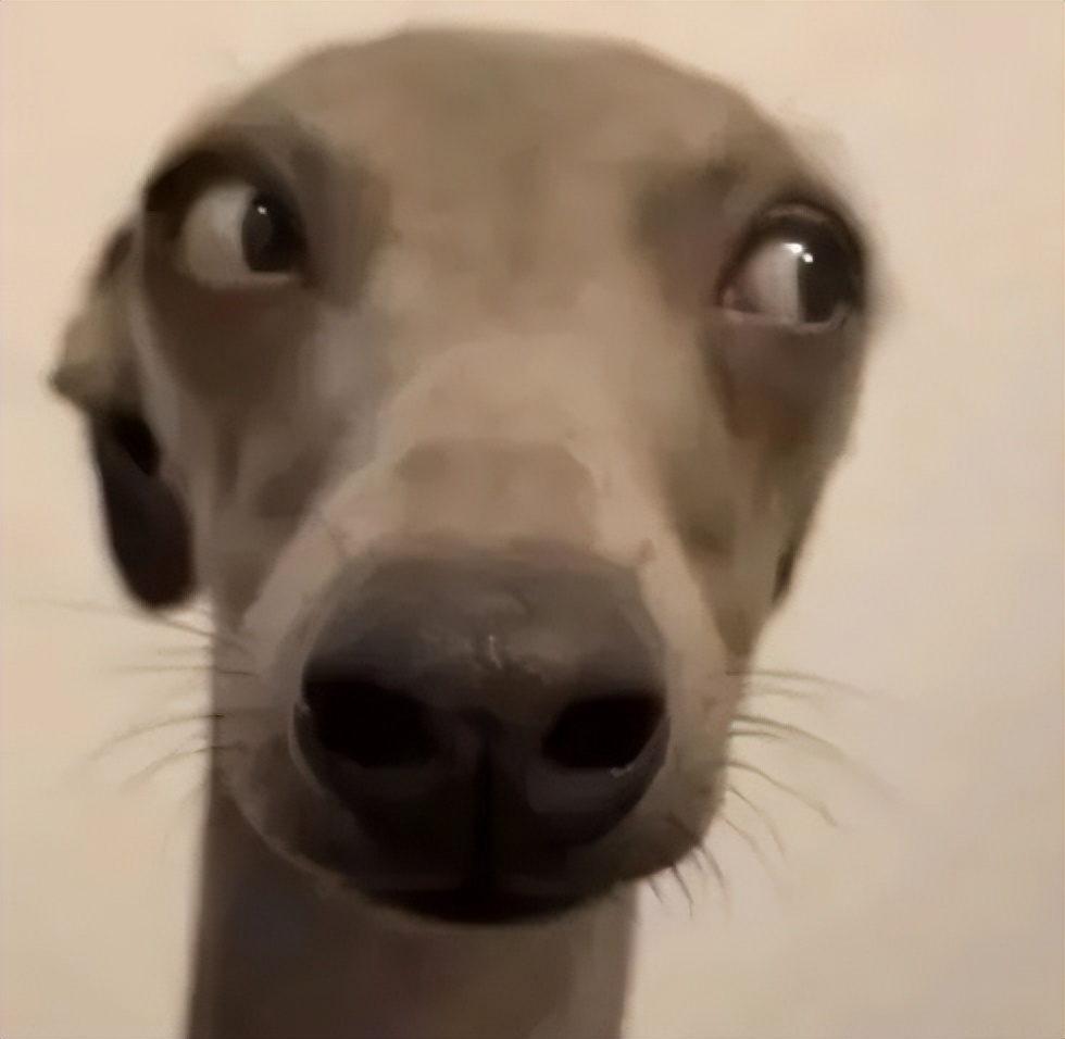 闅斿鍙嬪晢,灏忕背褰卞儚鏃楄埌