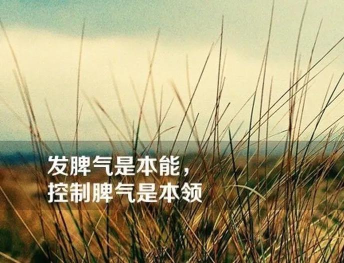 怎么交往一个矫情的女人,遇上自私矫情女人怎么办