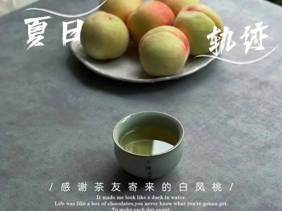 “南郭先生”、拉帮结派、化整为零，说说最近福鼎白茶的一些变化