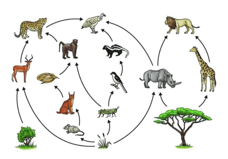 40多斤巨蟒被困深井数月,25斤巨蟒闯入居民家中现场曝光
