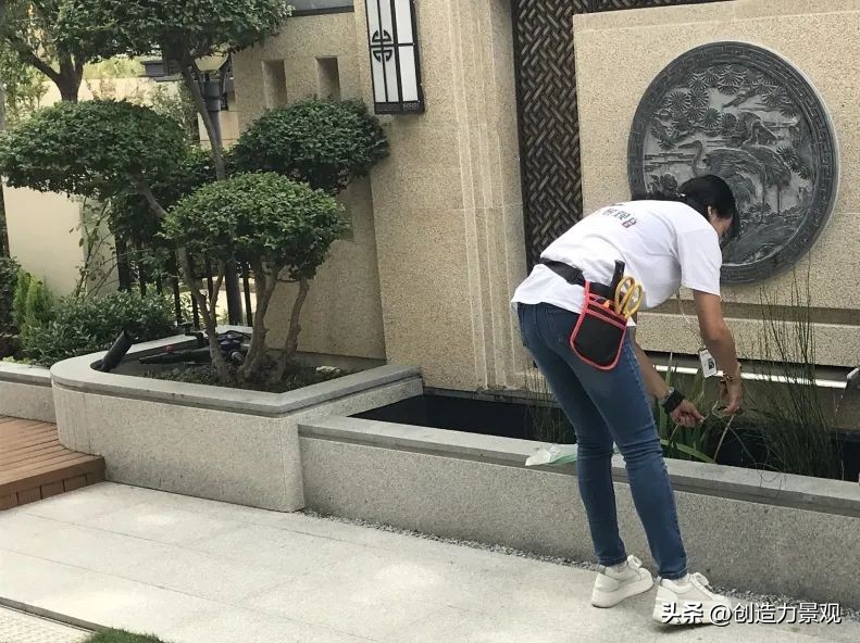 周末回访老客户的文案,回访老客户的主题