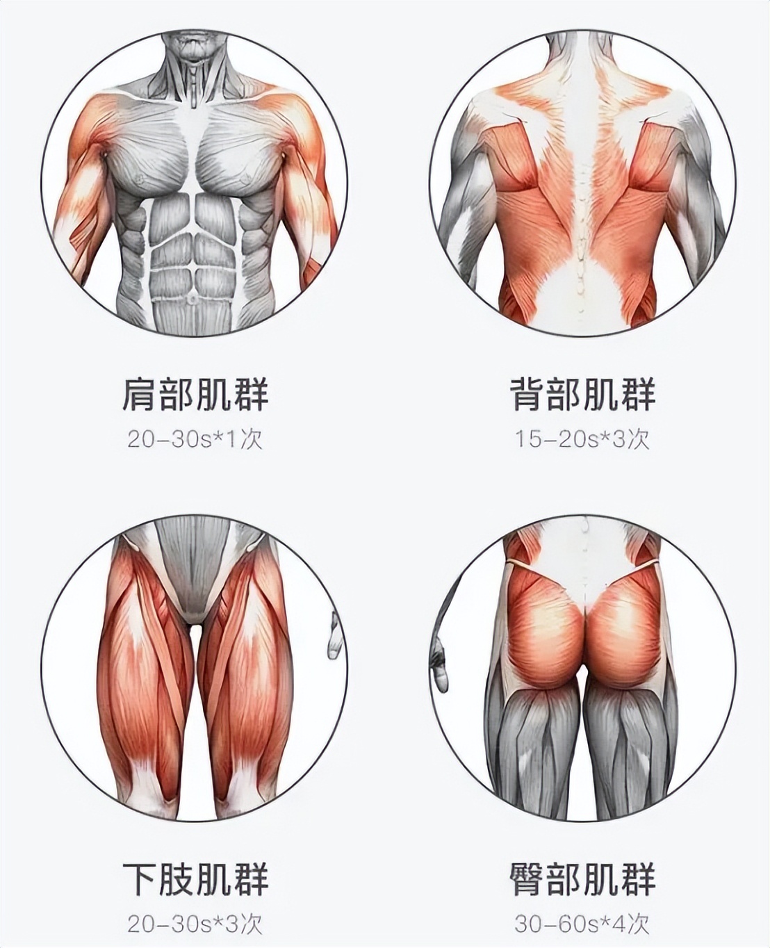 筋膜枪使用方法及注意事项,筋膜枪其他小妙招