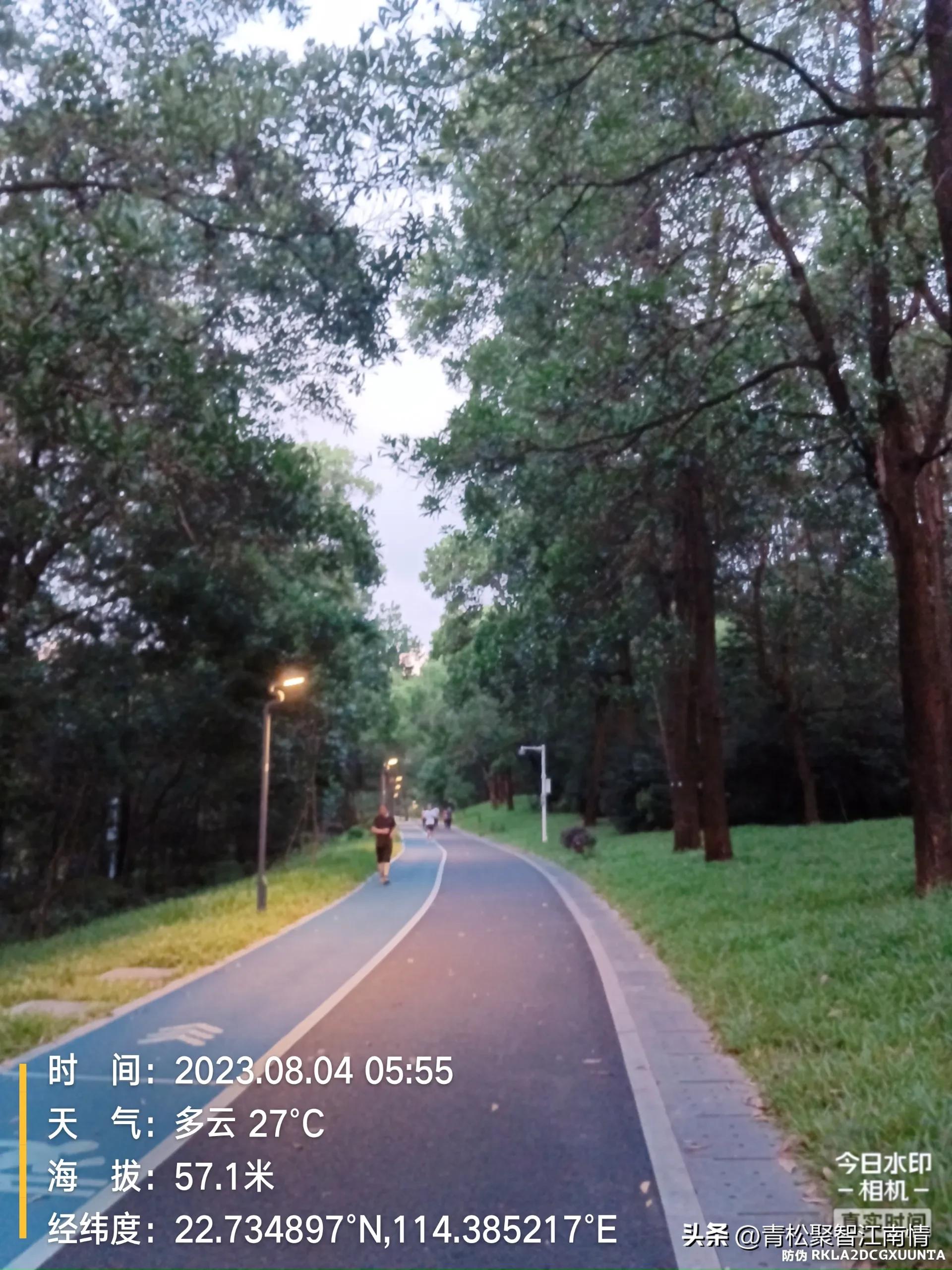 运动之神,运动之神排行榜