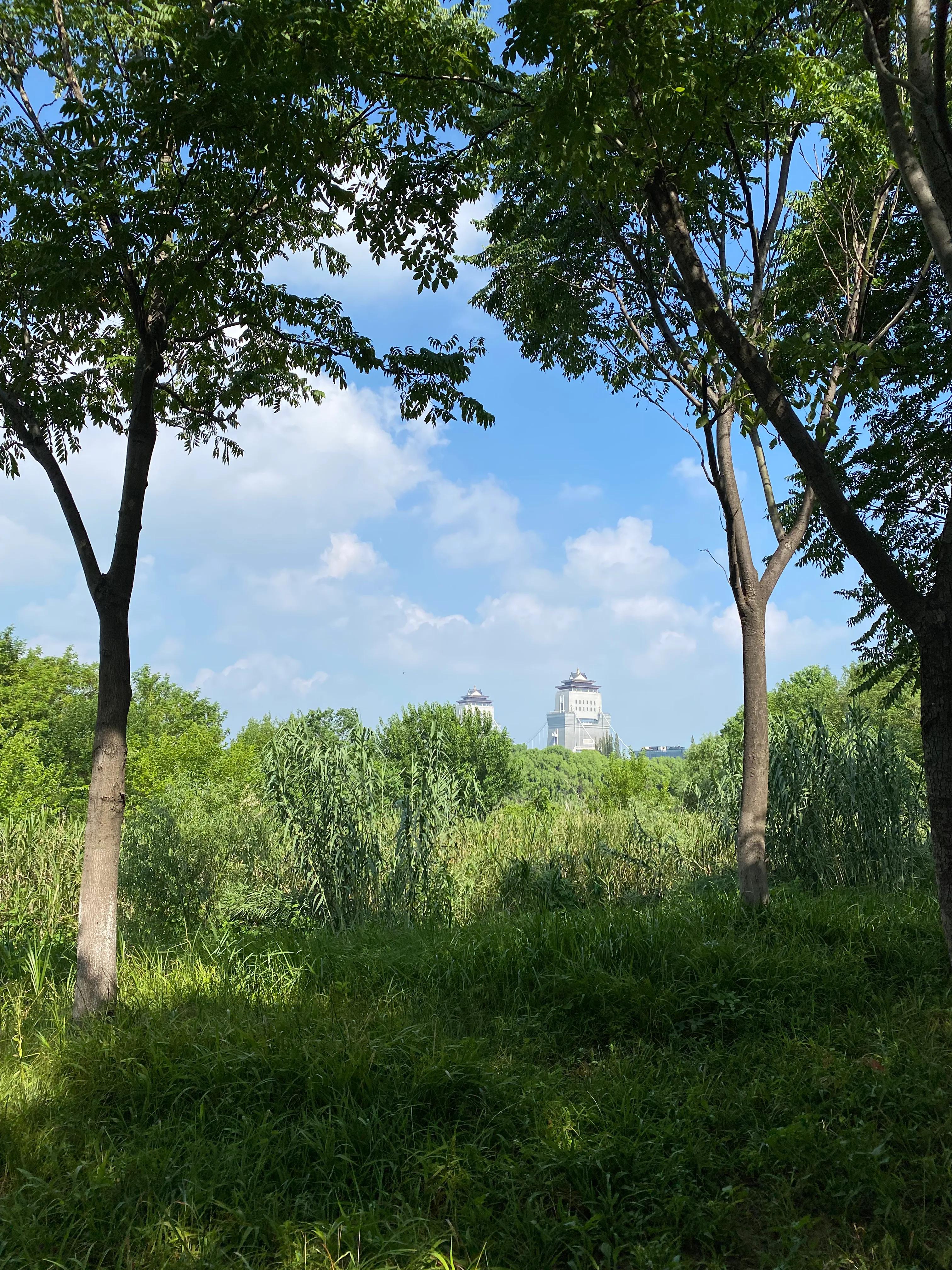 钃濆ぉ鐧戒簯鏌虫爲妗冭姳灏忔ˉ娴佹按,钃濆ぉ鐧戒簯缁挎爲寰闃冲厜鏄庡獨