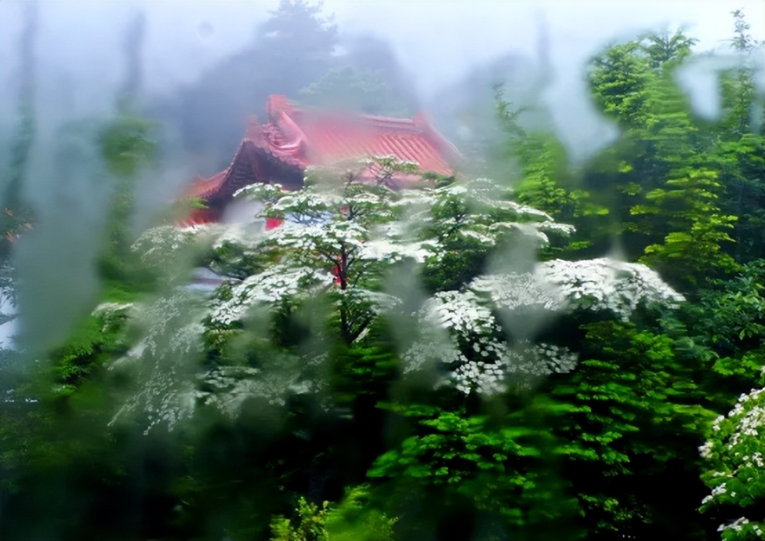 夏天的雨落在了荷花上,夏天的雨古诗词唯美