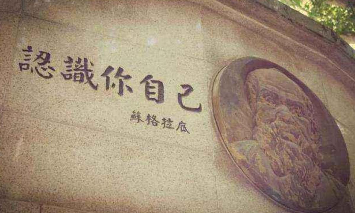 详细剖析期货市场投机行为的本质,了解期货交易的基本原理与方法