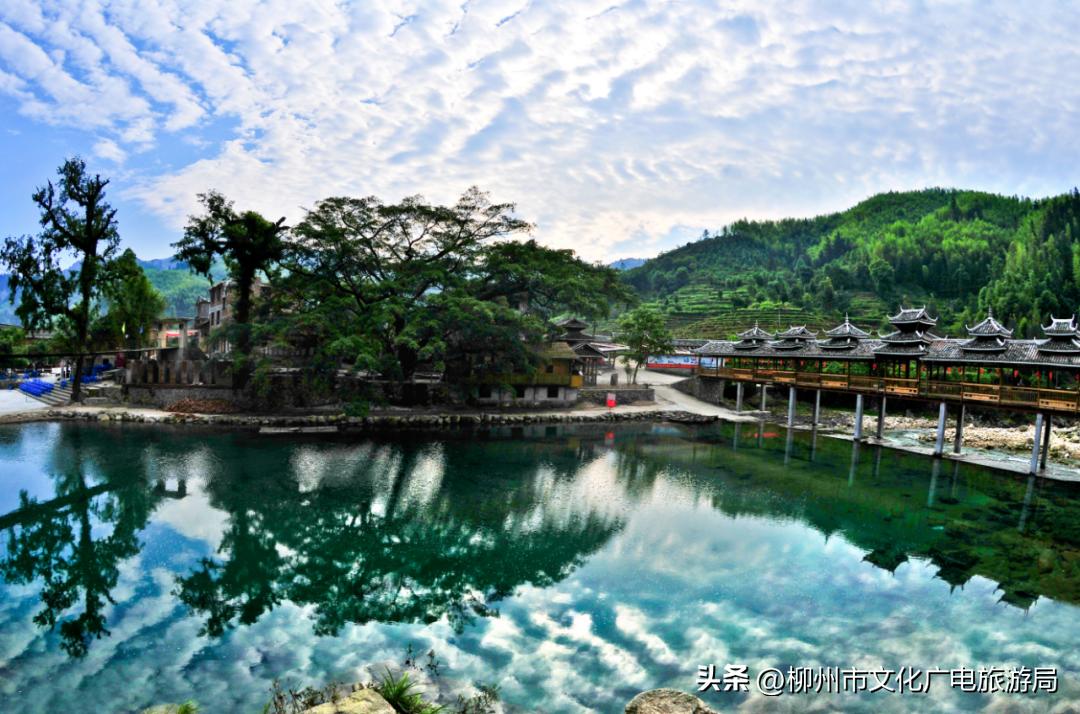 暑期旅游景区活动,暑期旅游优惠活动来啦