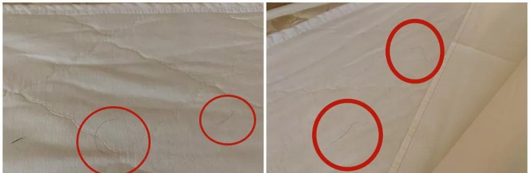 如家七天汉庭,如家7天速8