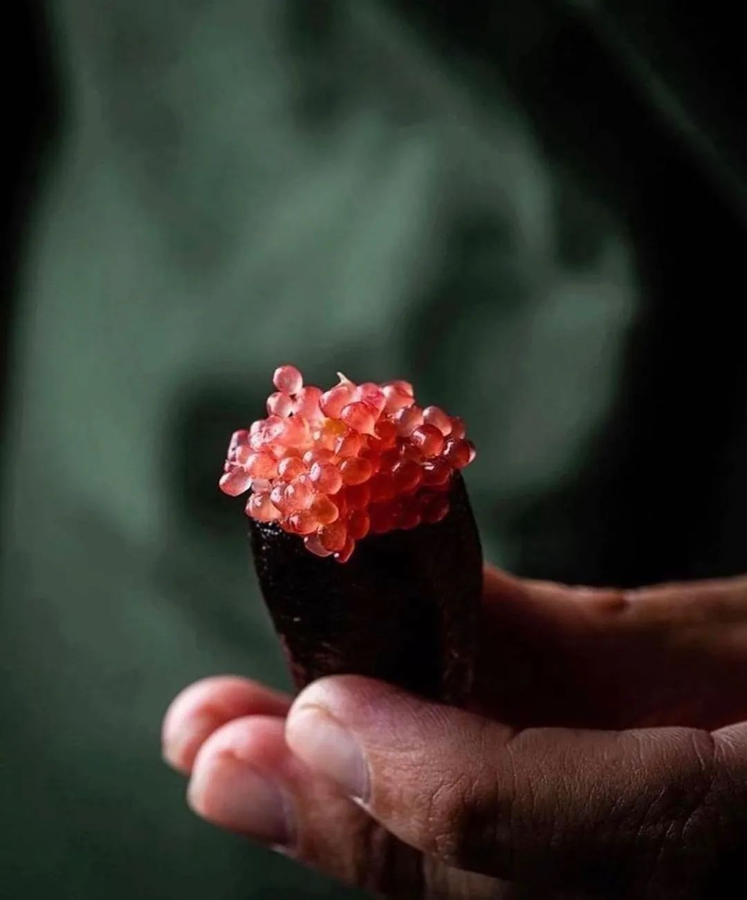 爱马仕水果做法,爱马仕水果做法大全