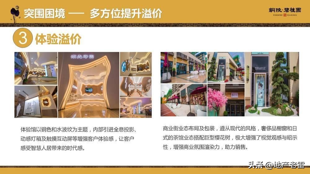 碧桂园房地产竞品分析,碧桂园房地产价格策略