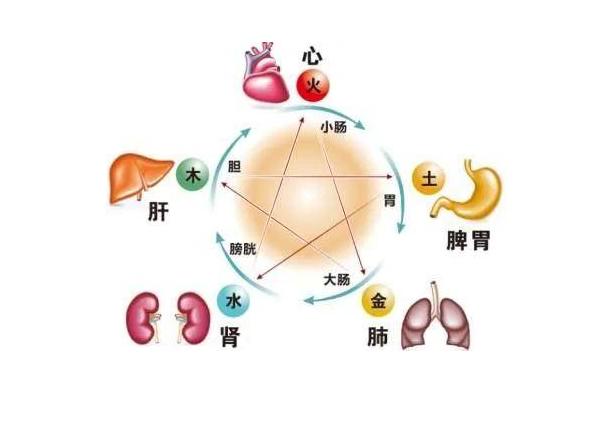 脾胃湿热和肠道湿热吃什么中成药,所有脏腑湿热的症状与治疗中成药