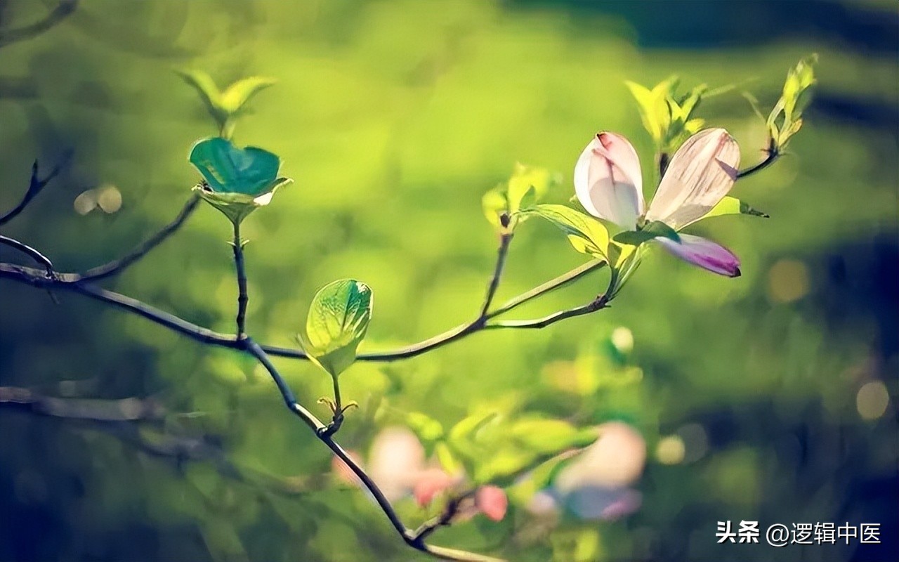 辟谷全过程视频,辟谷成功的真实案例视频