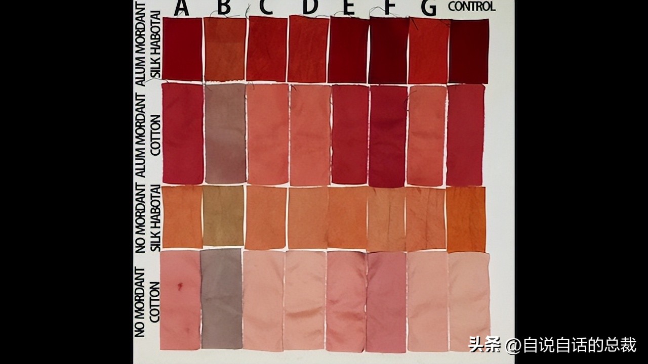 1666年，英国小伙破译了上帝的语言，然后，炼金术士们消失了