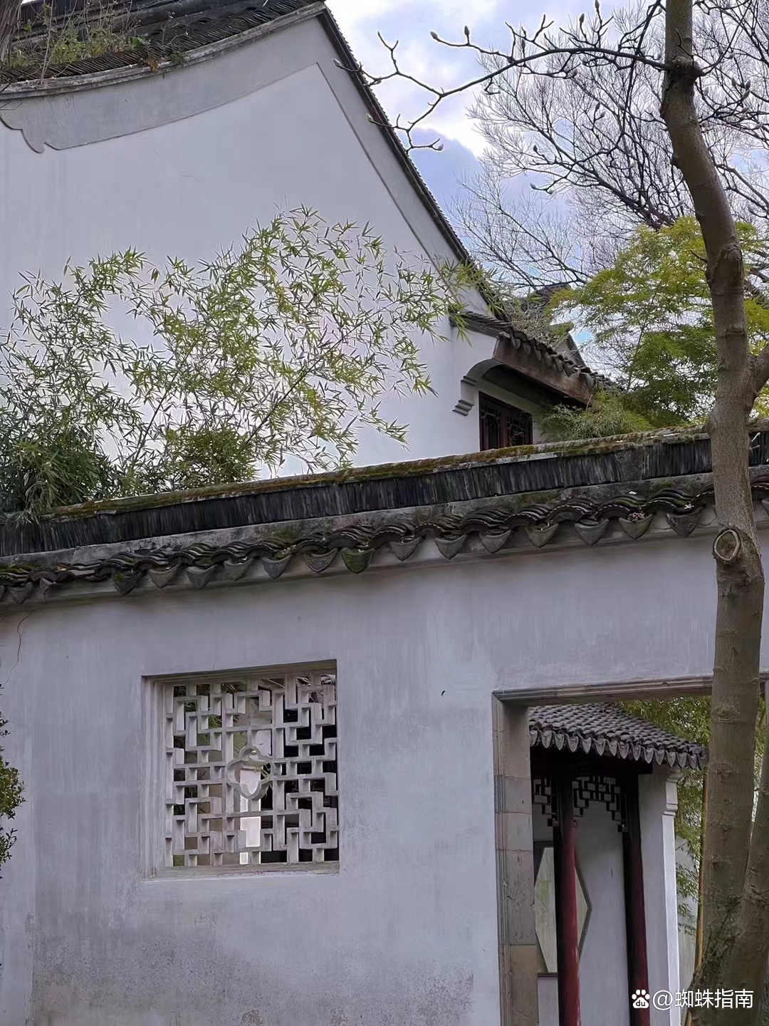 苏州一日游推荐攻略,苏州山塘街写尽诗意和烟火气